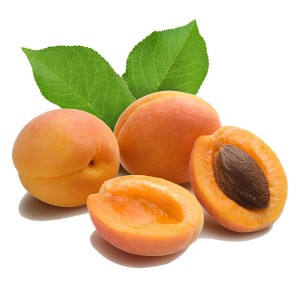 frost-line-apricot